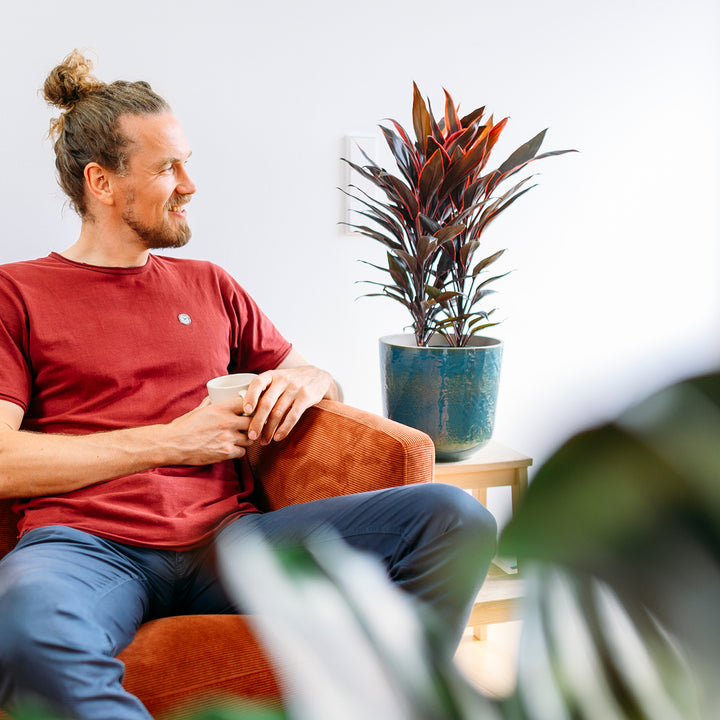 Mann mit Keulenlilie 'Tango' im Wohnzimmer
