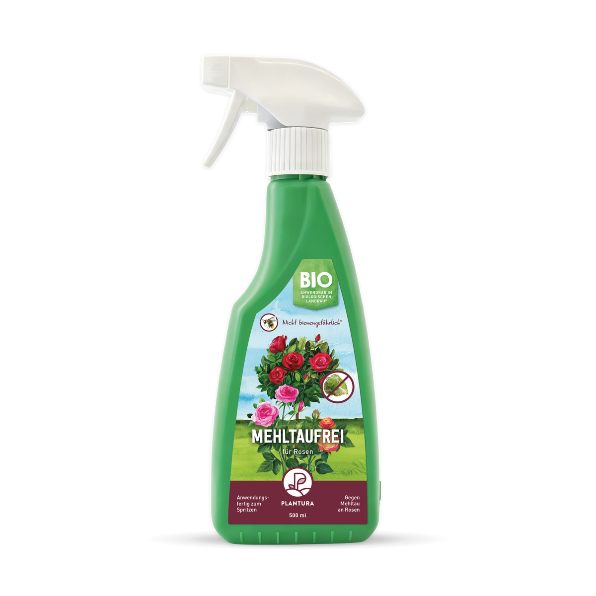 Mehltaufrei für Rosen Spritzmittel gegen Echten Mehltau