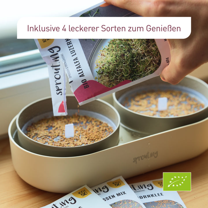 Microgreens Anzucht-Set mit 4 Sorten Bio-Saatgut