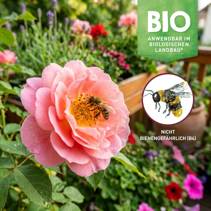 Mittel gegen Mehltau anwendbar im biologischen Landbau