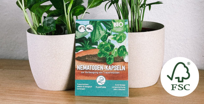 Umweltfreundlich verpackt