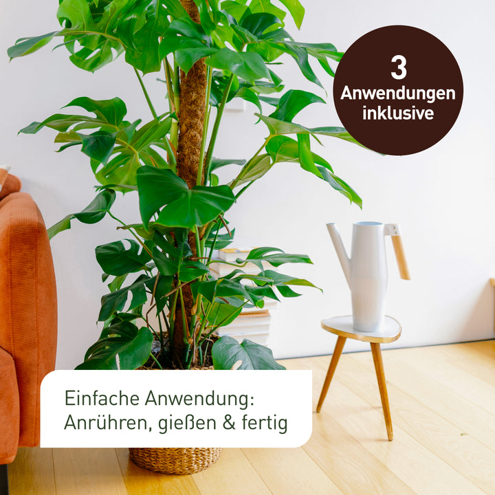 Nematoden gegen Thripse mit 3 Anwendungen