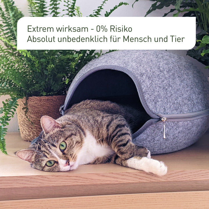 Natürliche Bekämpfung von Thripsen