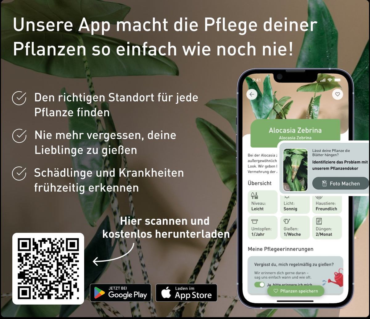 Trial Anbauplaner Bundle