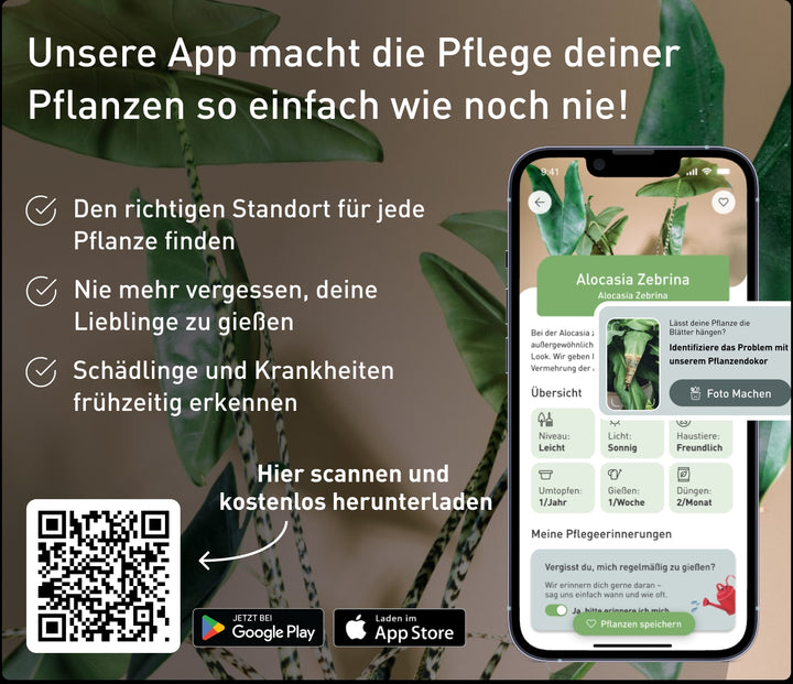 Trial Anbauplaner Bundle