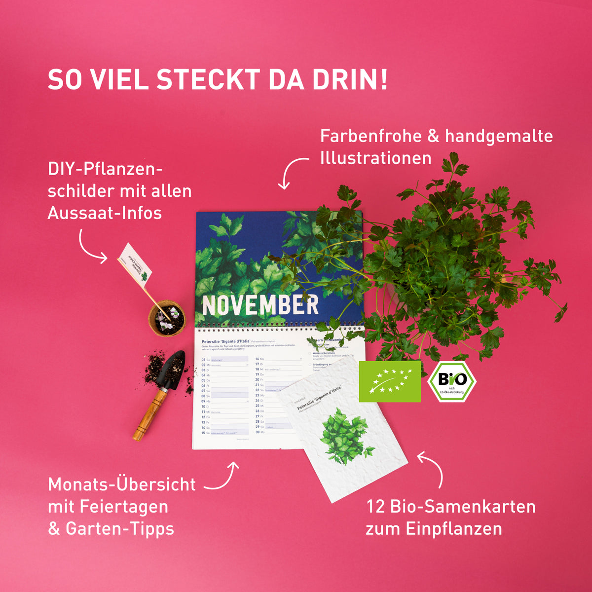 Einpflanzbarer Kalender 2026 im Kalender-Set