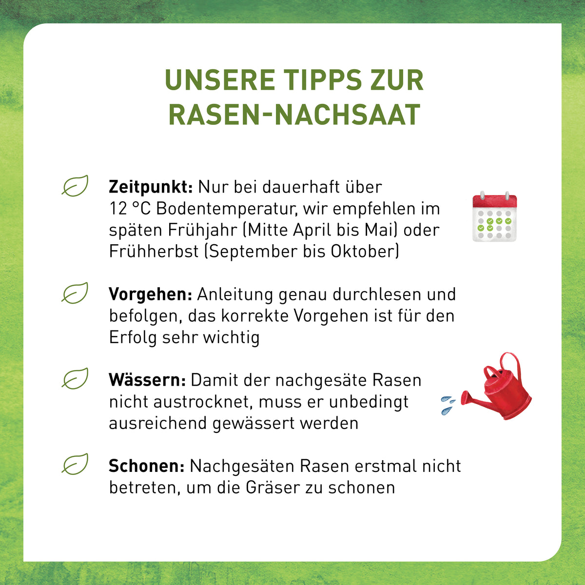 Plantura Rasen-Nachsaat Anwendung