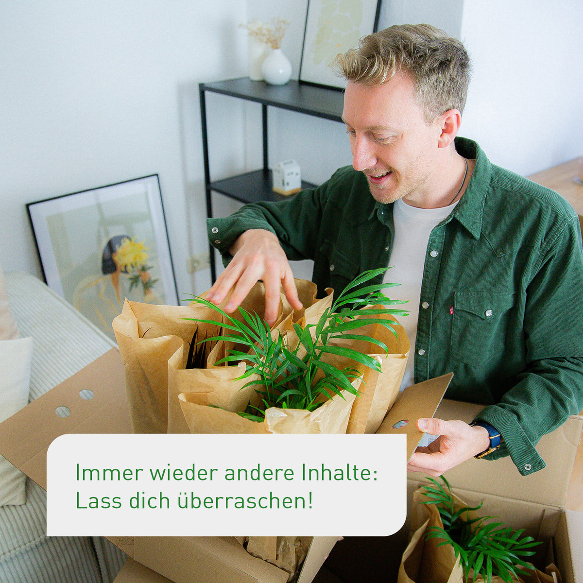 12er Set Zimmerpflanzen Retter-Box mit Seegras Übertöpfen