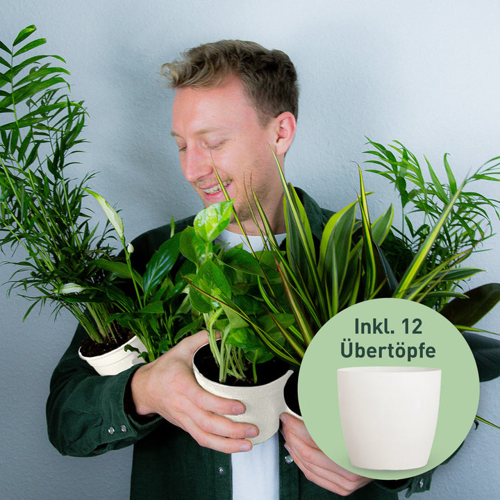 4er Set Zimmerpflanzen Retter-Box mit Bio-Faser Übertöpfen Natur