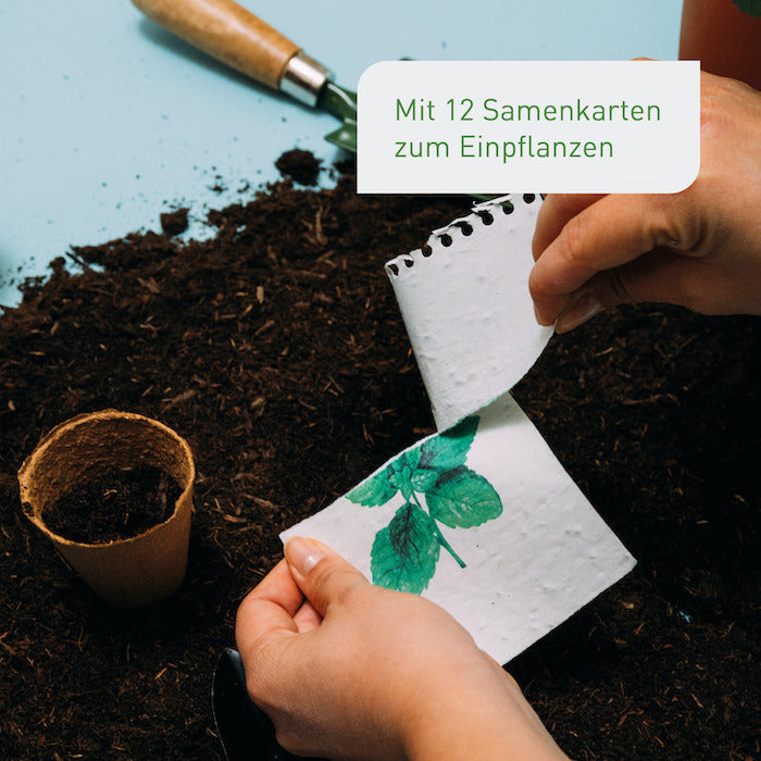 Saatgut im Plantura Saatkalender