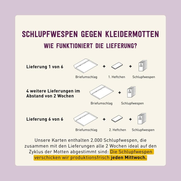 Lieferung Schlupfwespen gegen Lebensmittelmotten