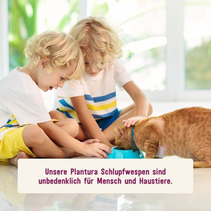 Schlupfwespen unbedenklich für Tiere