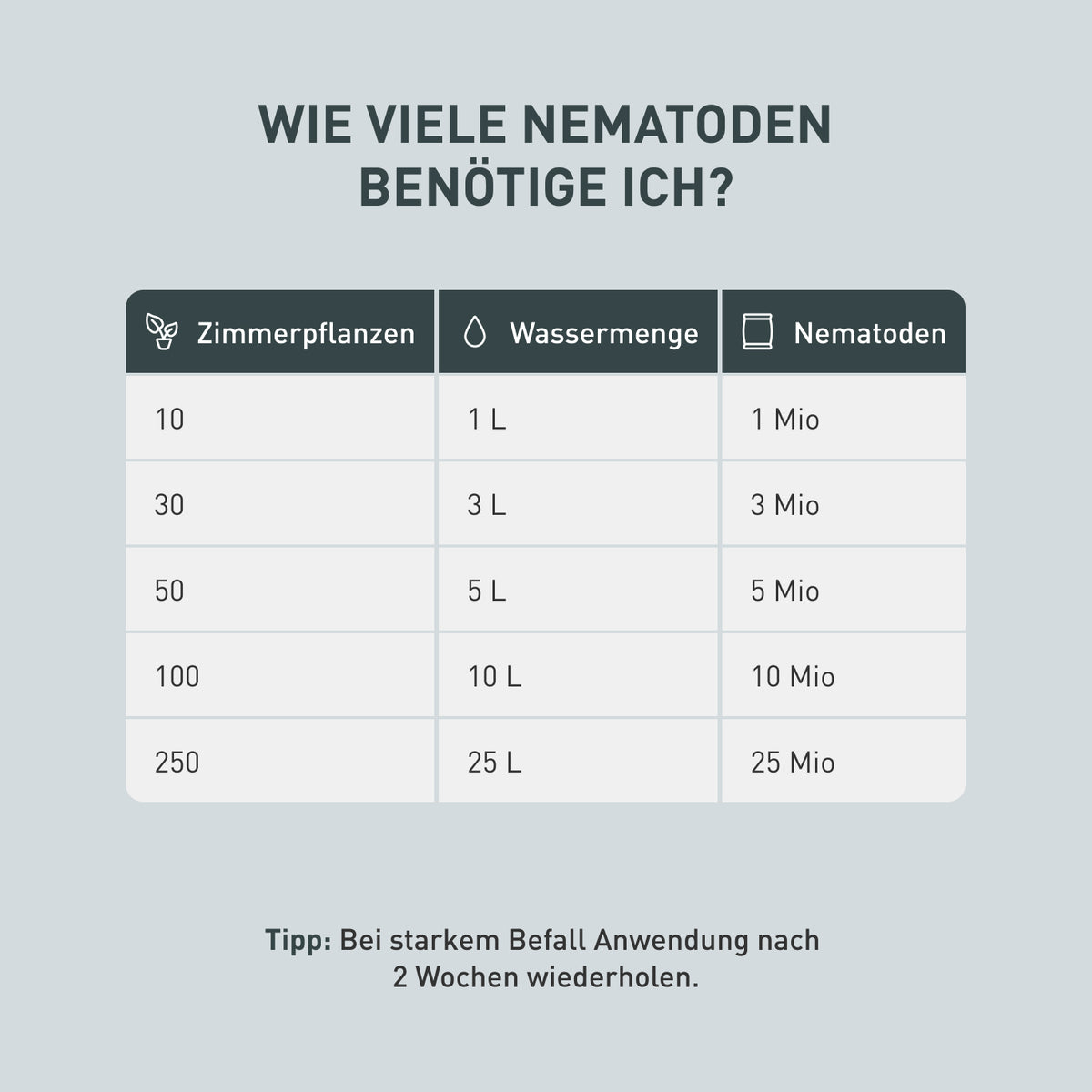 Menge SF-Nematoden pro Zimmerpflanze