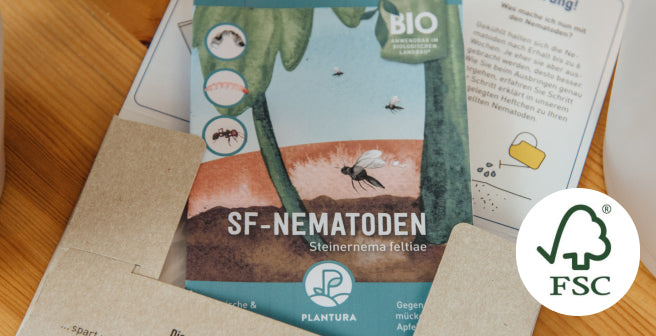 Umweltfreundlich verpackt