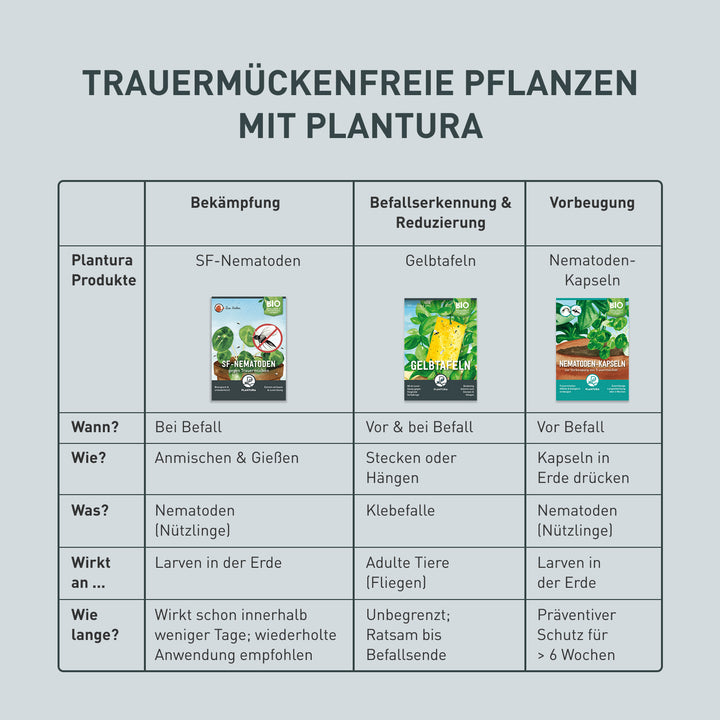 Übersicht Produkte gegen Trauermücken