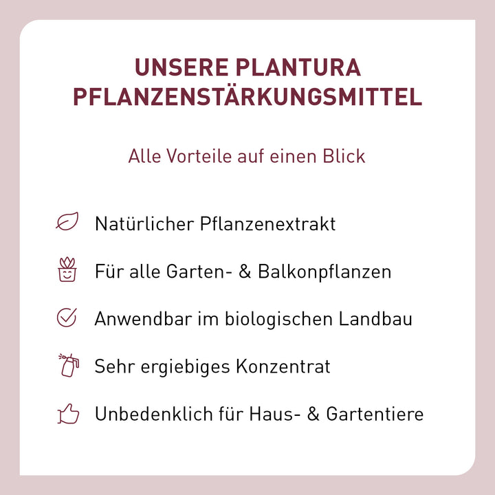 Vorteile von Ackerschachtelhalm als Pflanzenstärkungsmittel