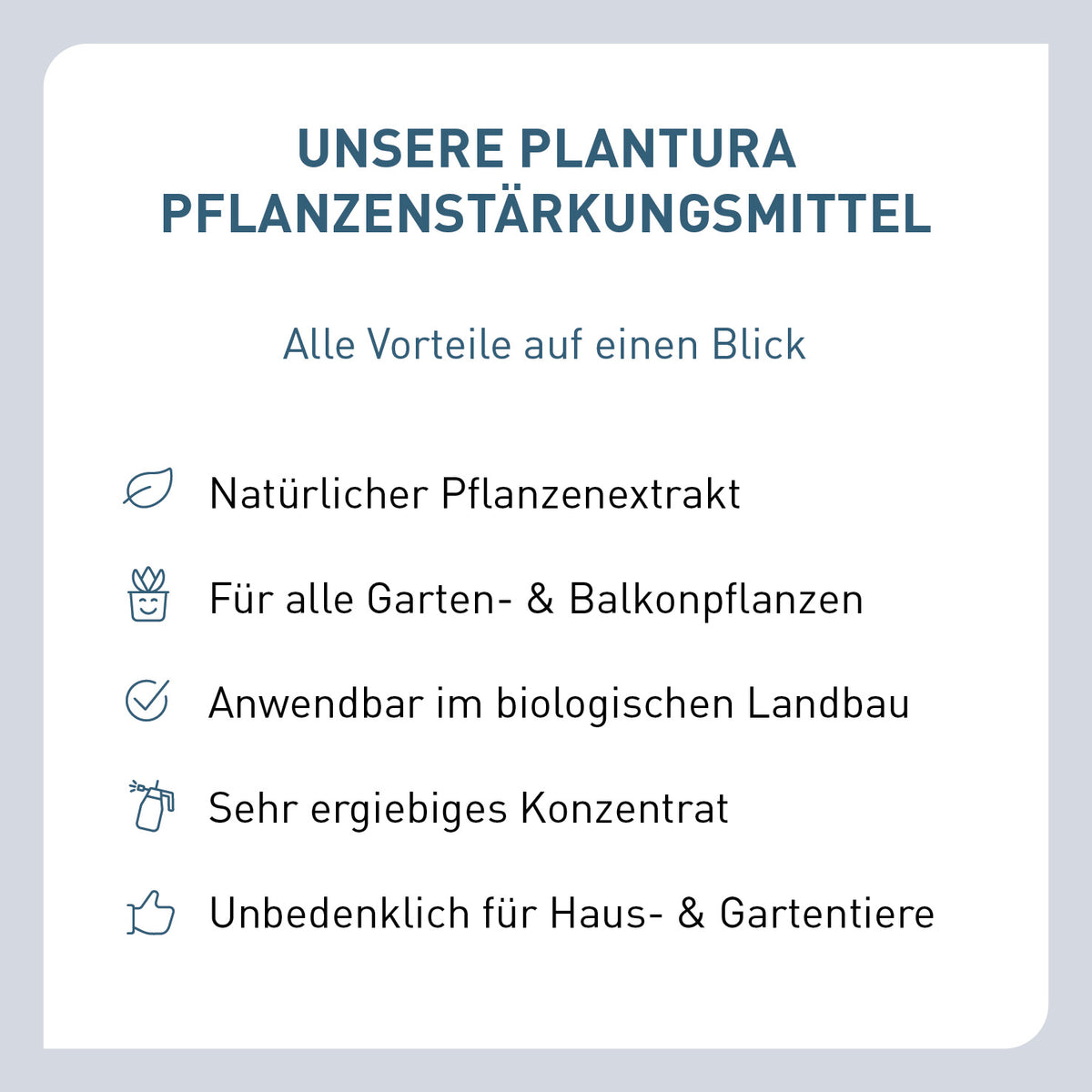 Vorteile von Knoblauch als Pflanzenstärkungsmittel