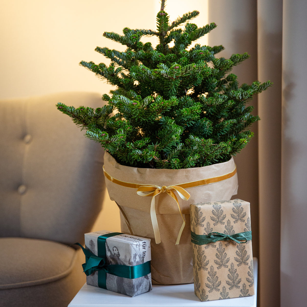 Geschmückter Weihnachtsbaum im Topf