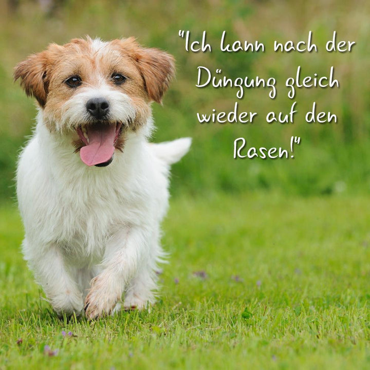 Bio-Rasendünger & Bio-Herbstrasendünger-Set / Boxen / je 3 kg