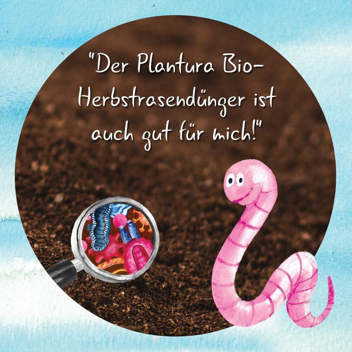 Bio-Rasendünger & Bio-Herbstrasendünger-Set / Boxen / je 3 kg