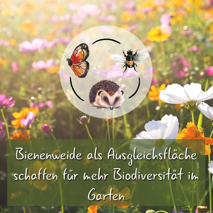 Bio-Rasendünger & Bio-Herbstrasendünger-Set / Boxen / je 3 kg