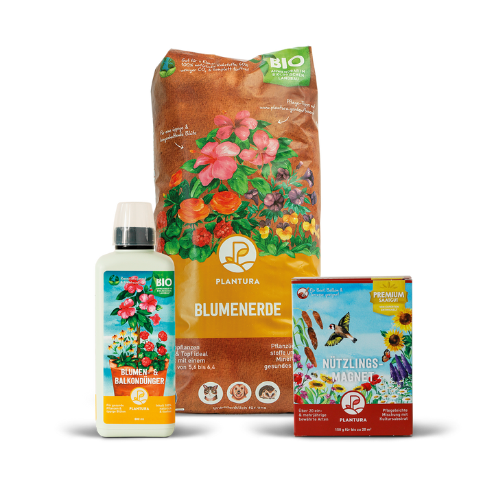 Balkonoase Starter-Set