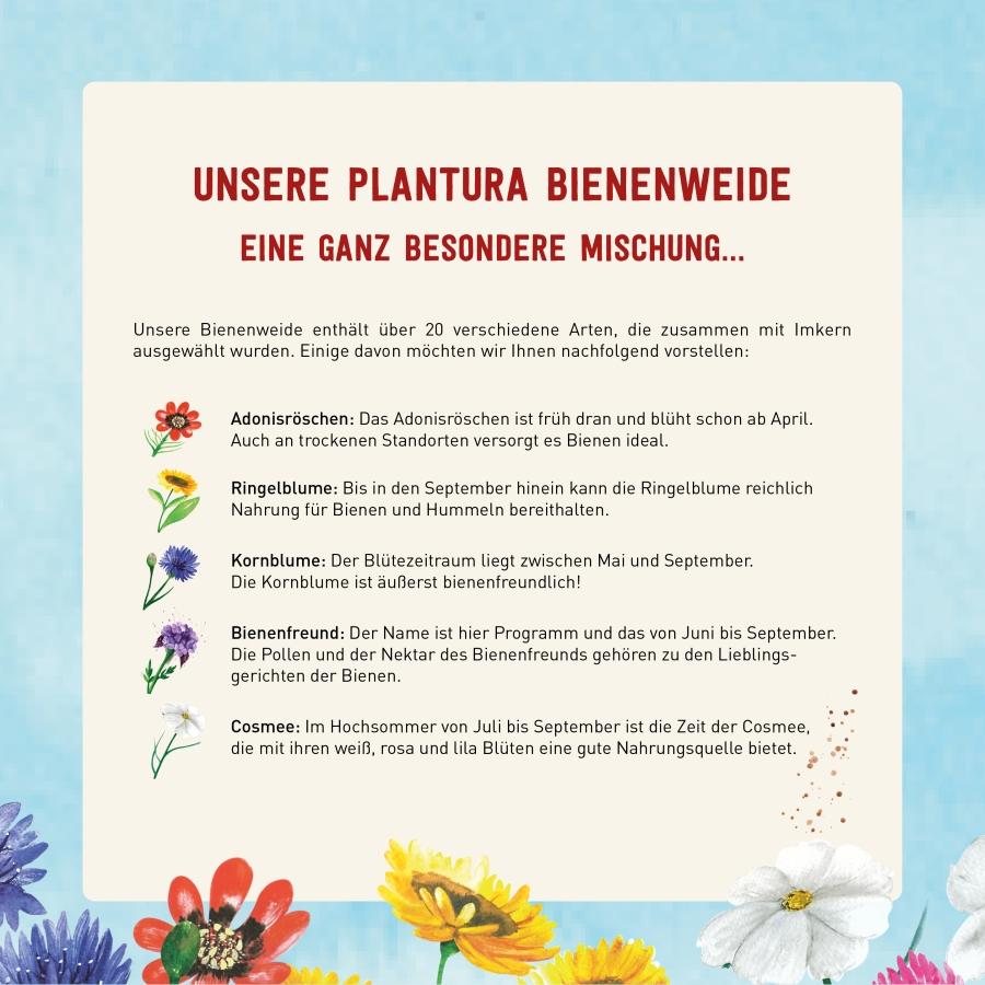 Samen für Bienenweide von Plantura