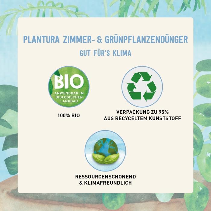 Biologischer Dünger für Zimmerpflanzen