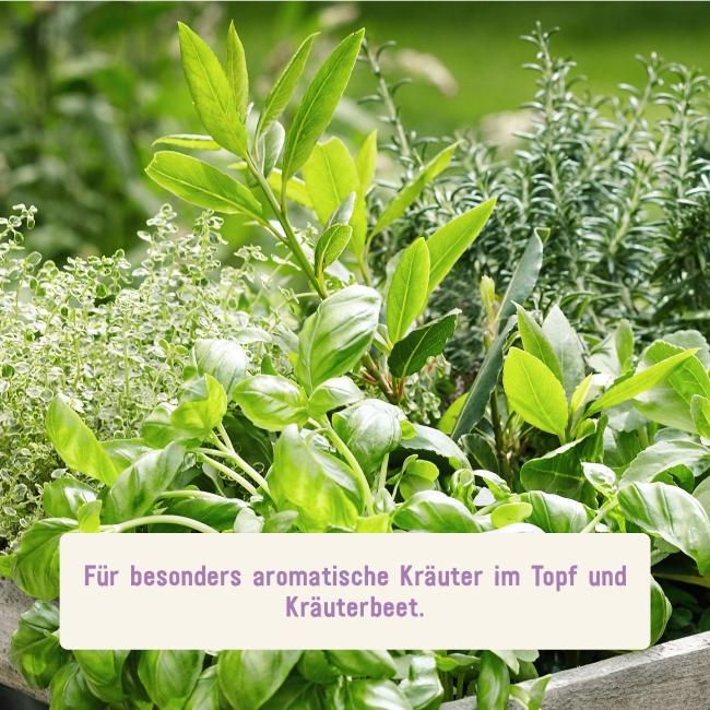 Bio-Kräutererde für aromatische Kräuter