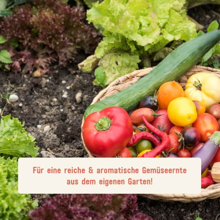 Ernte mit Plantura Bio-Tomatendünger