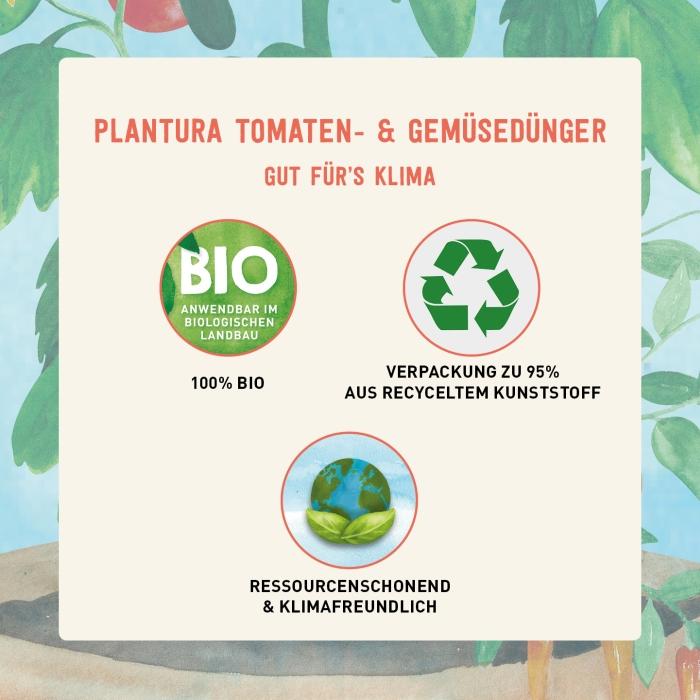 Biologischer Tomatendünger flüssig