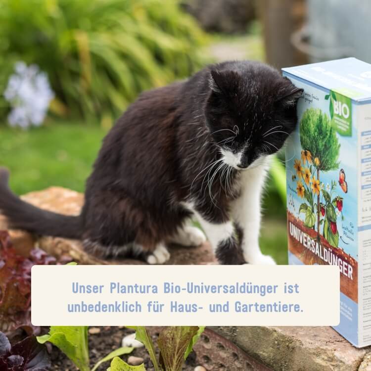 Bio-Universaldünger unbedenklich für Tiere
