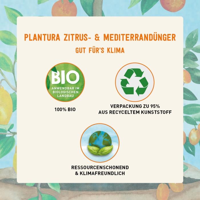 Biologischer Zitrusdünger flüssig