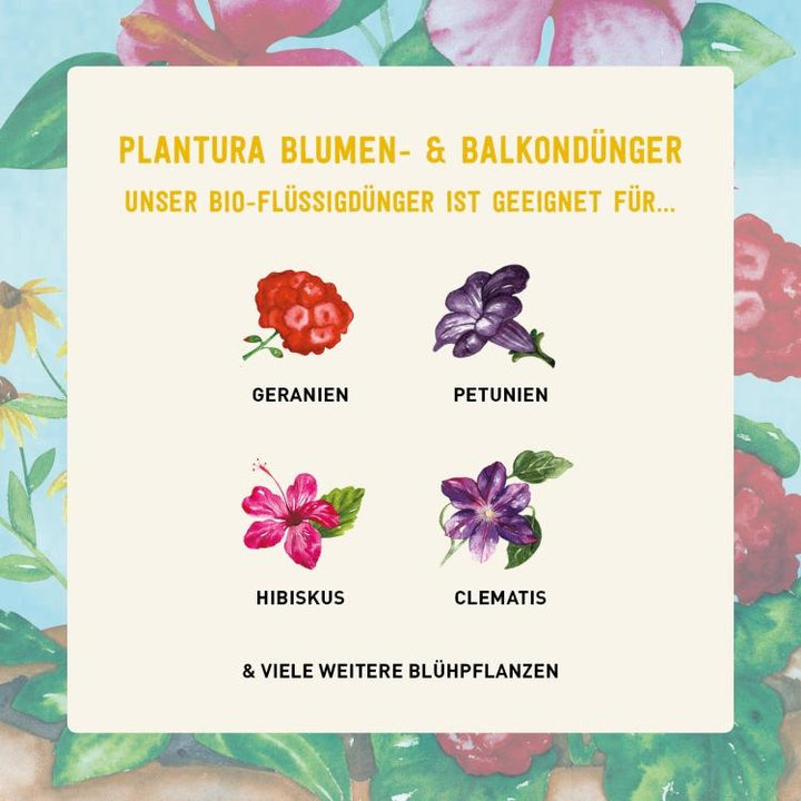 Bio-Blumen- & Balkondünger / 800 ml