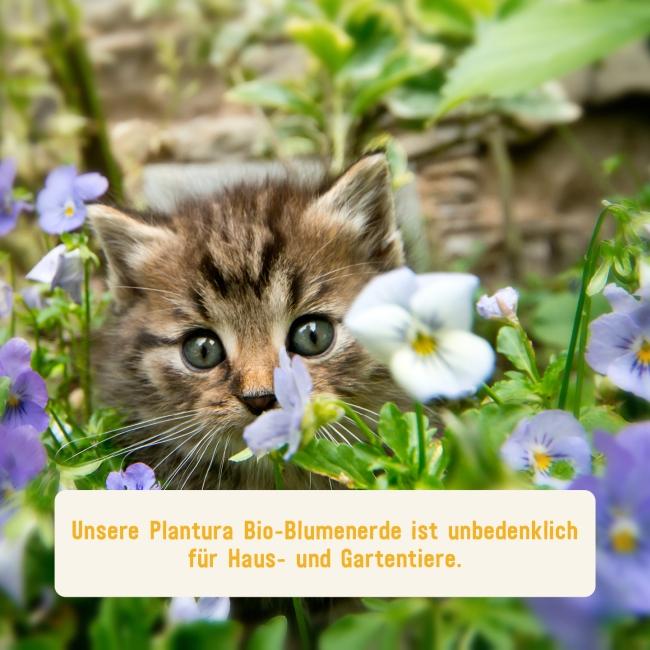 Plantura Blumenerde unbedenklich für Tiere