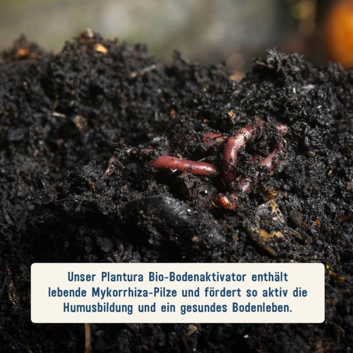Bodenaktivator mit Mykorrhiza Pilze