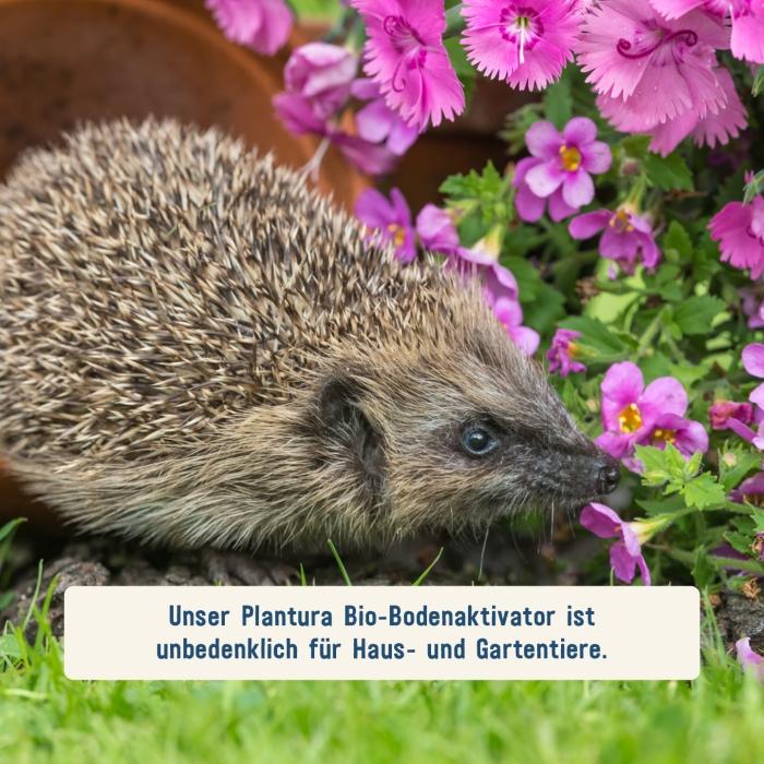 Bio-Bodenaktivator unbedenklich für Tiere