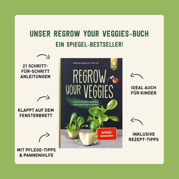 Buch Gemüsereste nachwachsen lassen