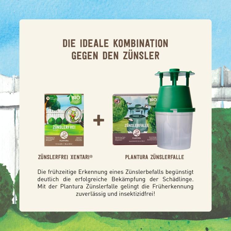 Bekämpfung Buchsbaumzünsler mit Xentari® und Zünslerfalle