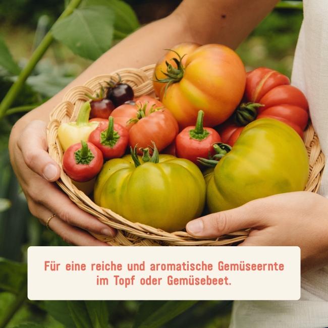 Beste Gemüseerde für eine reiche Ernte