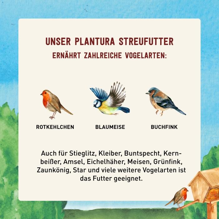 Fettfutter für verschiedene Vogelarten
