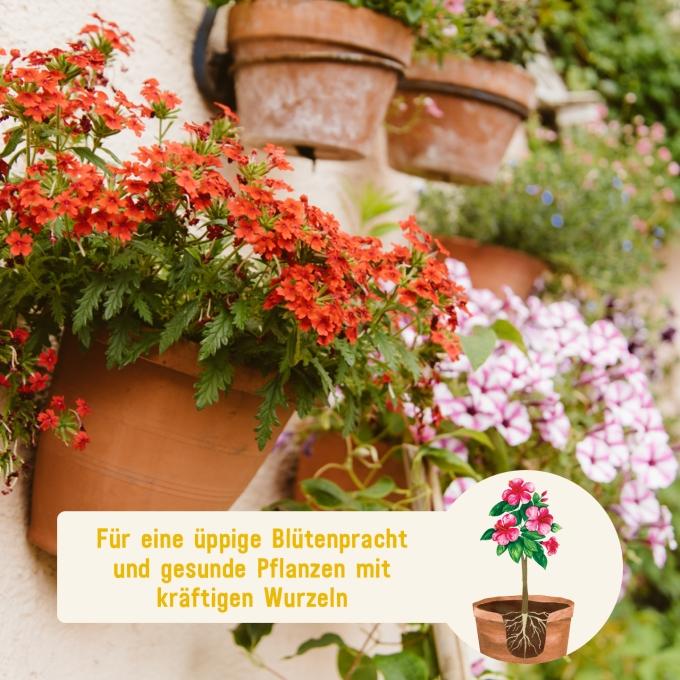 Flüssiger Blumendünger für gesunde Blumen