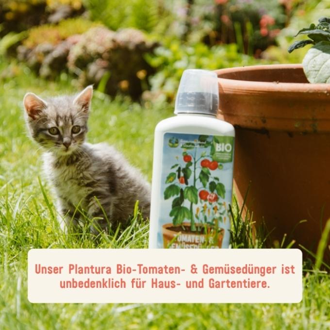Bio-Flüssigtomatendünger unbedenklich für Tiere