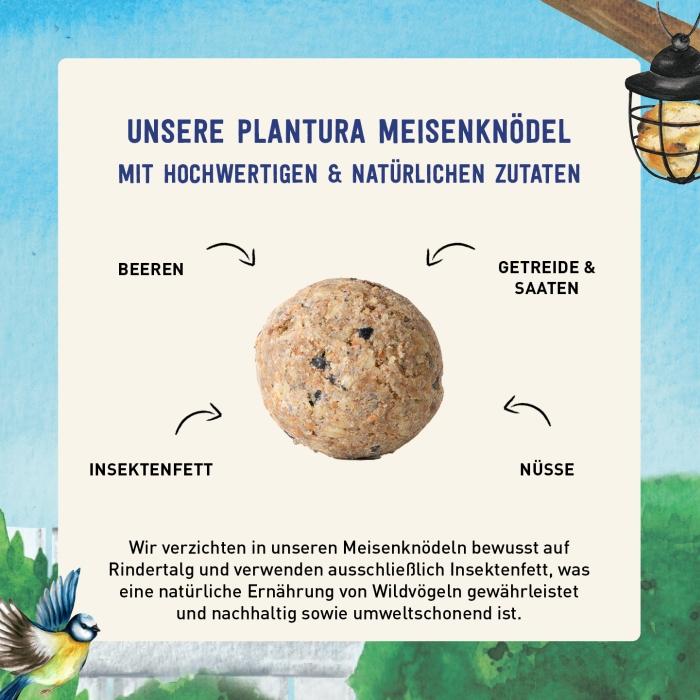 Ganzjahresknödel mit Insektenfett