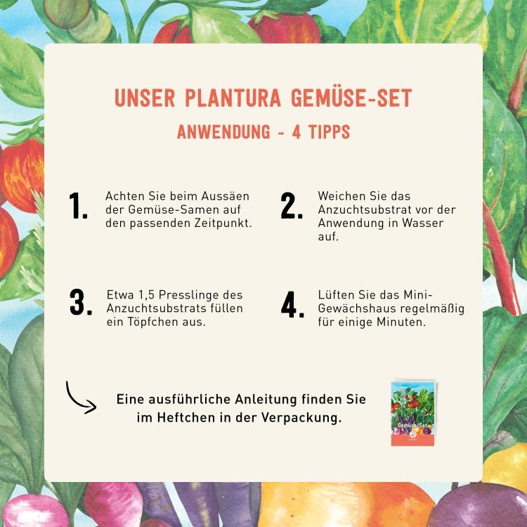 Anwendung des Gemüse-Sets