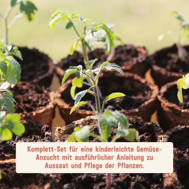 Gemüse anbauen mit Anbau-Set