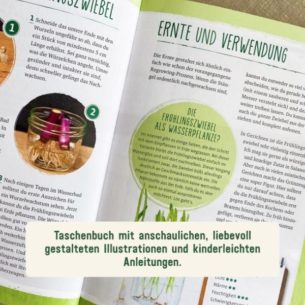 Buch Gemüse Regrowing