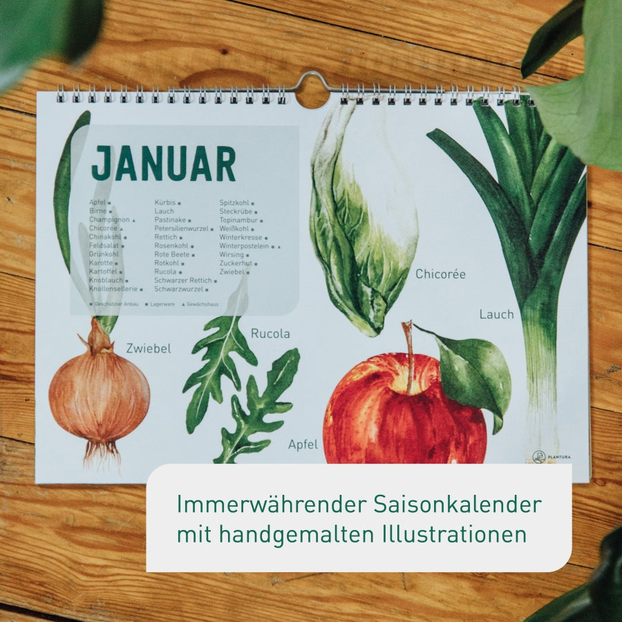 Monatsübersicht im Saisonkalender