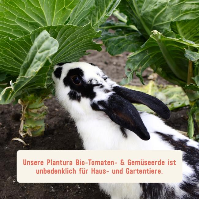 Gemüseerde unbedenklich für Tiere