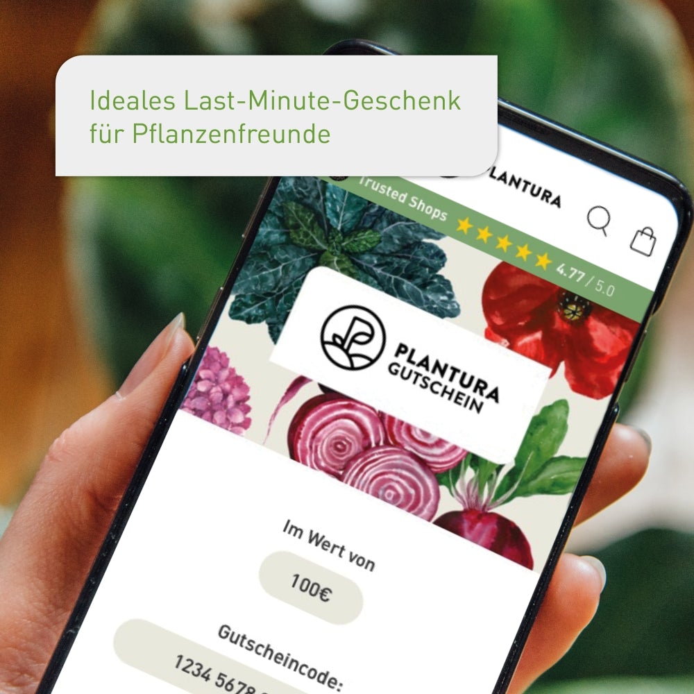 Plantura Gutschein